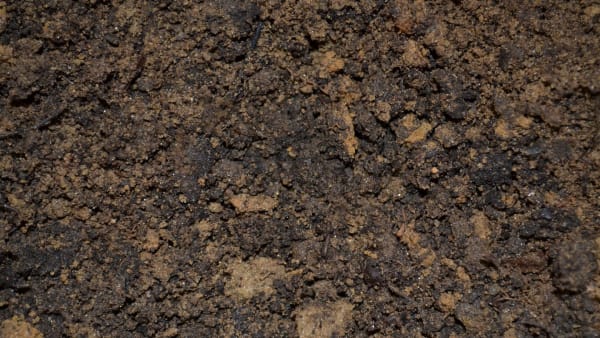 Soil: A Nature-Based Solution